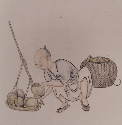 夏令水果