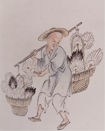 鹅毛扇